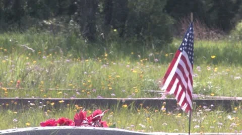 Flags Flying at Antioch Colony Cemertery Stock Footage 10571753
