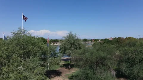 Flags Flying Stock Footage 196734057