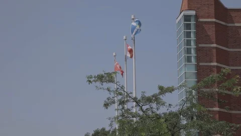 Flags Flying outside City Hall Stock Footage 99374043
