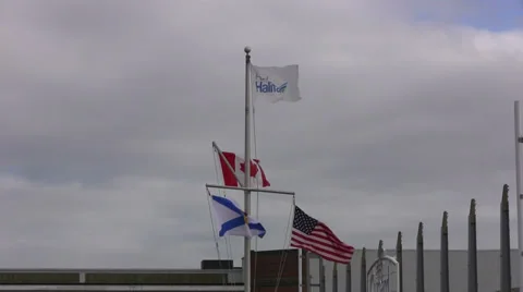 Flags Flying at the Port of Halifax Stock Footage 33059875