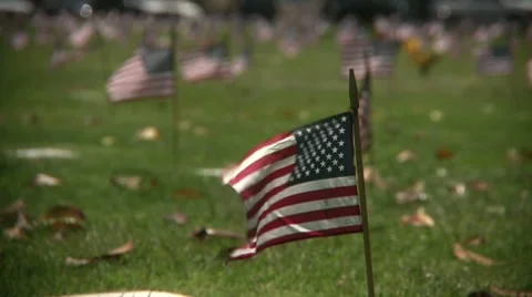 Flags flying at Veteran's Cemetery Video stock 7728092