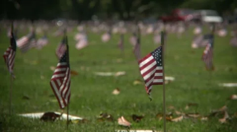 Flags flying at Veteran's Cemetery Stock Footage 7736728