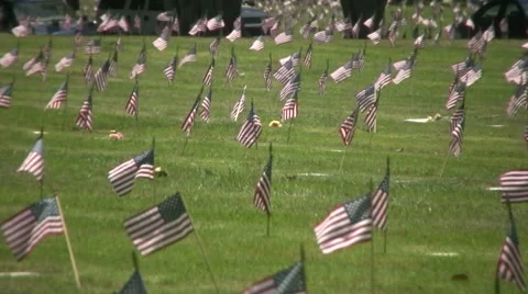 Flags flying at Veteran's Cemetery - Pan Stock Footage 7736593