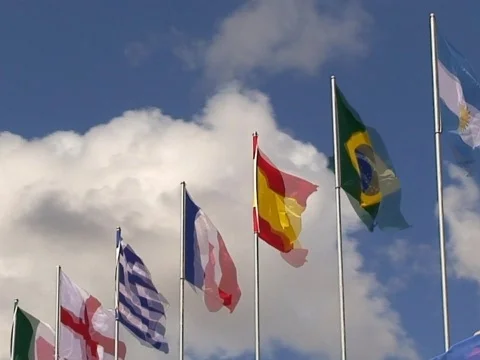 Flags Stock Footage 489849