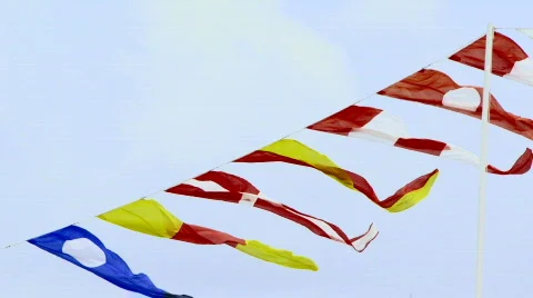 Flags Video stock 619307