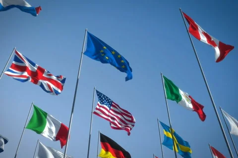 Flags Stock Footage 708705