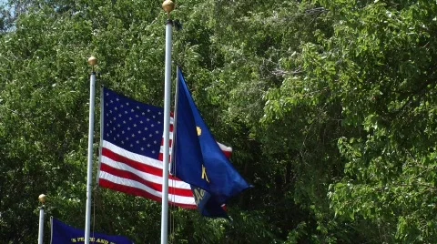 Flags Stock Footage 758714