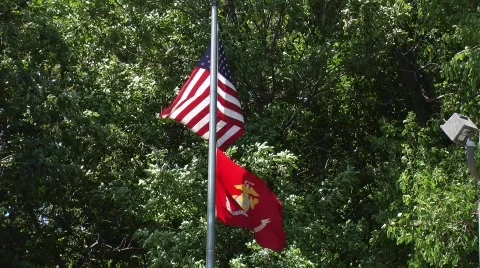 Flags Stock Footage 758726