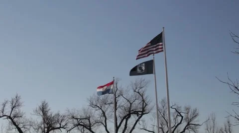 Flags 스톡 동영상 1127464