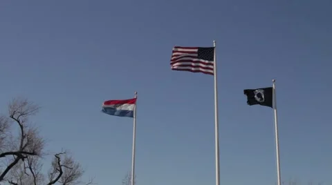 Flags 스톡 동영상 1127910