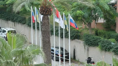 Flags Stock Footage 10875220