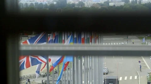 Flags Stock Footage 79652364
