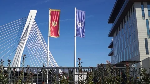 Flags Stock Footage 84800079