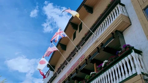 Flags Stock Footage 161819619