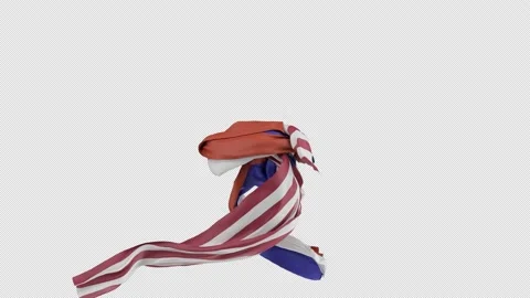 Flags Stock Footage 201960298