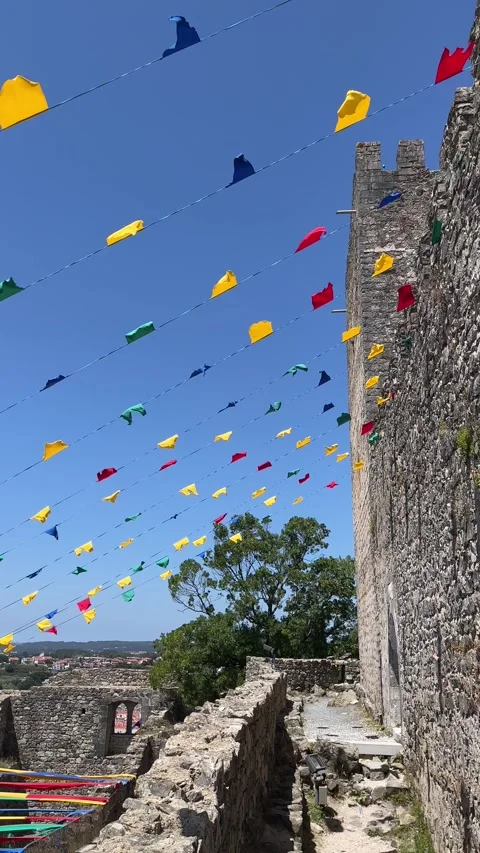 Flags Stock Footage 250797301