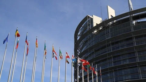 Flags in front of the EU building Stock Footage 103051449