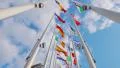 Flags in front of The European Parliament in Strasbourg HD Footage