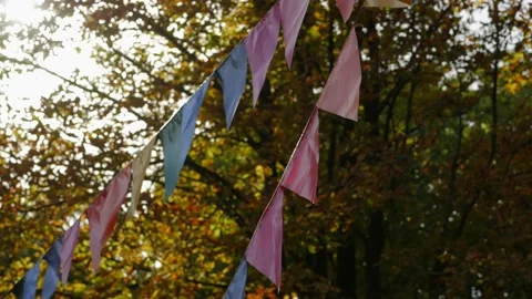 Flags garland on a background of trees with yellow foliage on a Sunny day Stock Footage 138878526