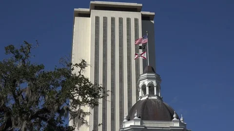 Flags, Historic Capitol Museum, new Florida State Capital building, Tallahassee 스톡 동영상 71348908