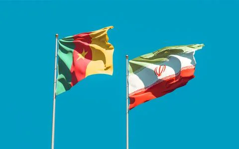 Flags of Iran and Cameroon. Stock Photos