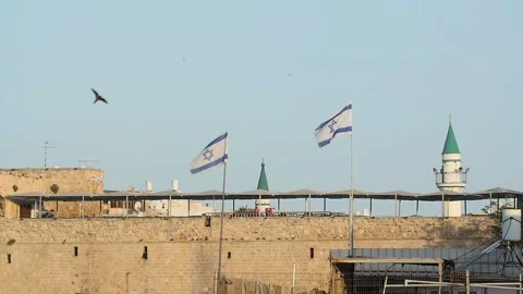 Flags of Israel waving over old Acre Stock Footage 156871908