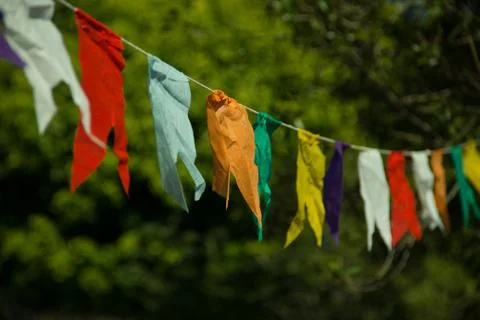 Flags of the june party Stock Photos