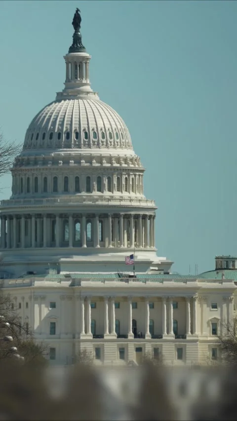 Flags Line the Street to the US Capitol on a Clear Day in DC Stock Footage 314659126