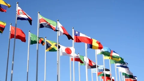 Flags of many states are fluttering on flagpoles. Stock Footage 119802950