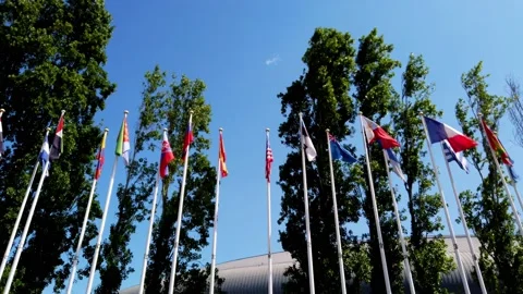Flags of many states are fluttering on flagpoles. Stock Footage 155934598