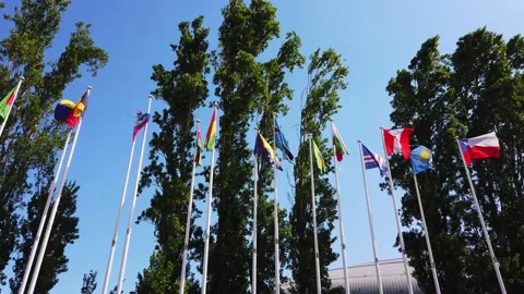 Flags of many states are fluttering on flagpoles. Stock Footage 155934612