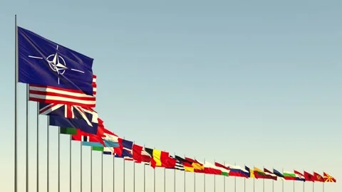 The flags of the member countries of the Nato Alliance against the sky Stock Footage 169173789