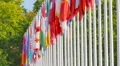 Flags of the member states of the Council of Europe HD Footage