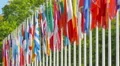 Flags of the member states of the Council of Europe HD Footage
