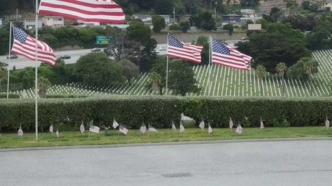 Flags on Memorial Day Stock Footage 76060098
