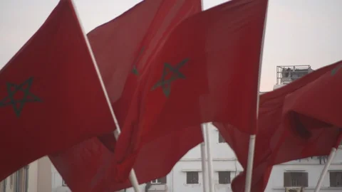 Flags of Morocco flying Stock Footage 121709919