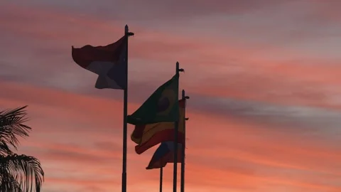 Flags in Motion Against Sunset Sky Stock Footage 305956837