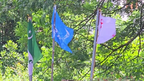 Flags of MSF, ksu and sfi Stock-Footage 315423226