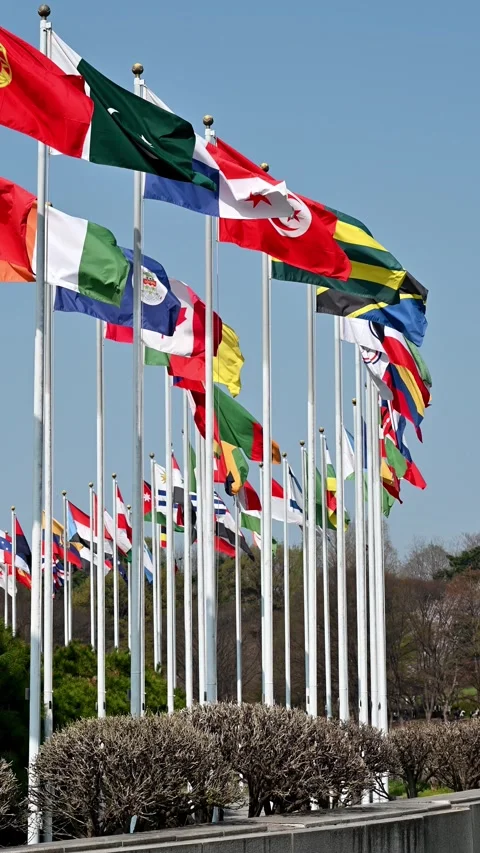 Flags of Multiple Countries Waving in the Wind 스톡 동영상 306438868