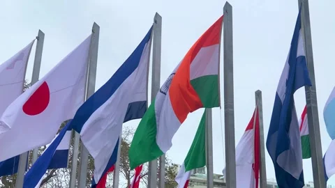 The flags of the nations are flying against the blue sky. Stock Footage 240222509