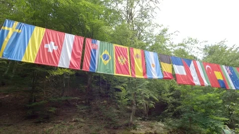 Flags in nature Stock Footage 139125746