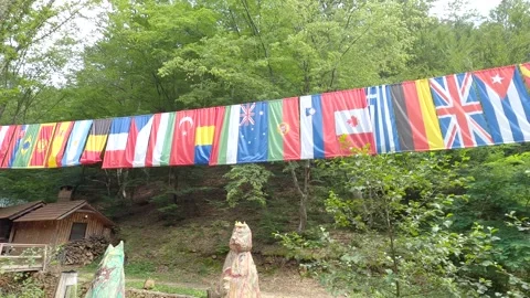 Flags in nature Stock Footage 139931422