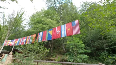 Flags in nature Stock Footage 139931591