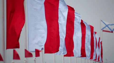 Flags of the Navy. Stock-Footage 23270145