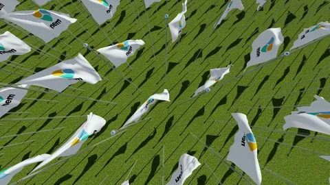 Flags with NEM XEM open-source crypto currency coin on green field. Stock Footage 85511382