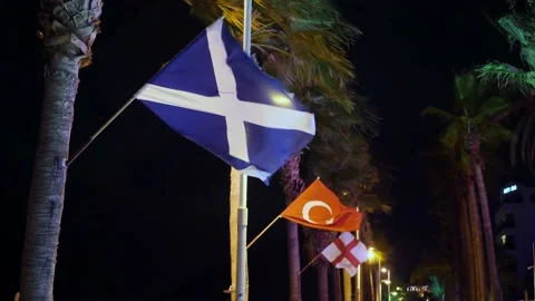 Flags at night Stockbeeldmateriaal 141455334