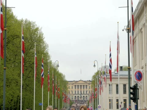 Flags in Oslo at the 17th of May national day, Norway, wide Stock Footage 76432703
