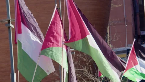 Flags of Palestine flutter at support rally in Helsinki, Finland Stock Footage 272738963