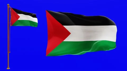 Flags of Palestine with Green Screen Chroma Key High Quality 4K UHD 60FPS Stock Footage 144209756