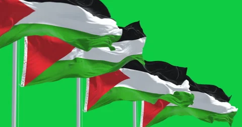 Flags of Palestine waving together isolated on green background Stock-Footage 328301683